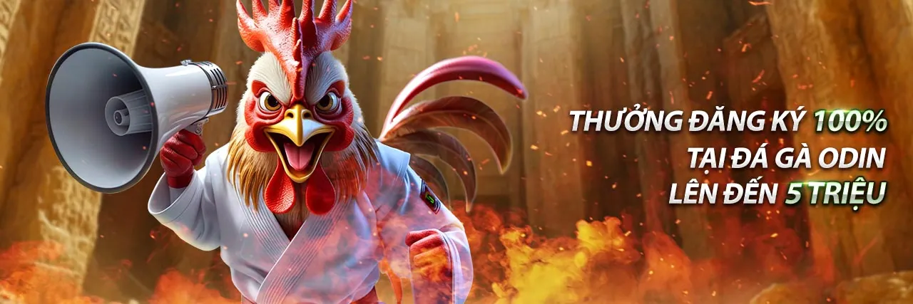 Hình ảnh chính sách quyền riêng tư 999ok cổng game chính thức